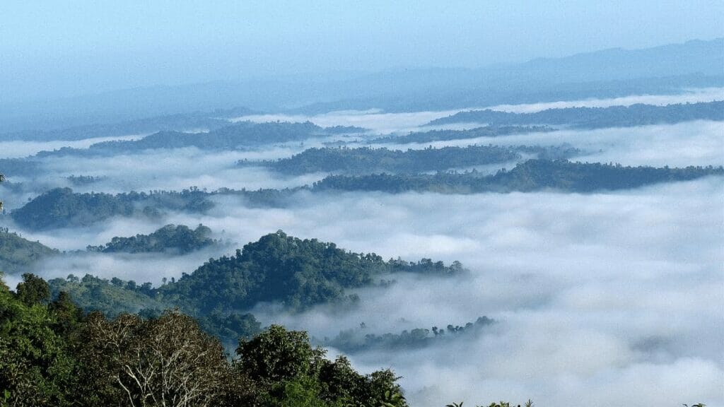 The Nilgiri hills are located 46 kilometers away from Bandarban sadar, Bandarban District.